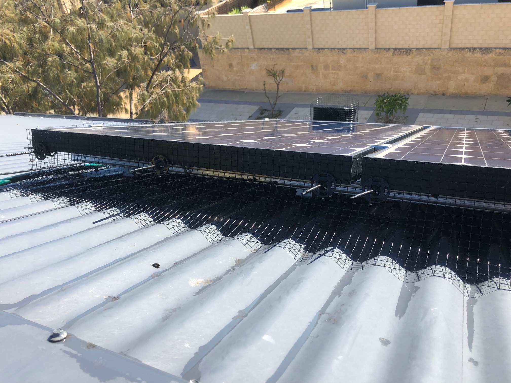 bird solar panel proofing